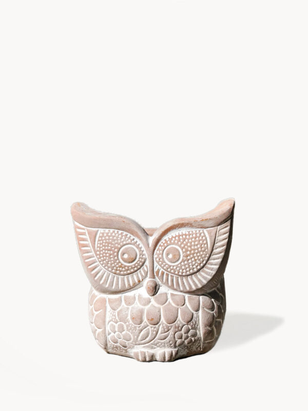 Terracotta Pot – Big Eye Owl